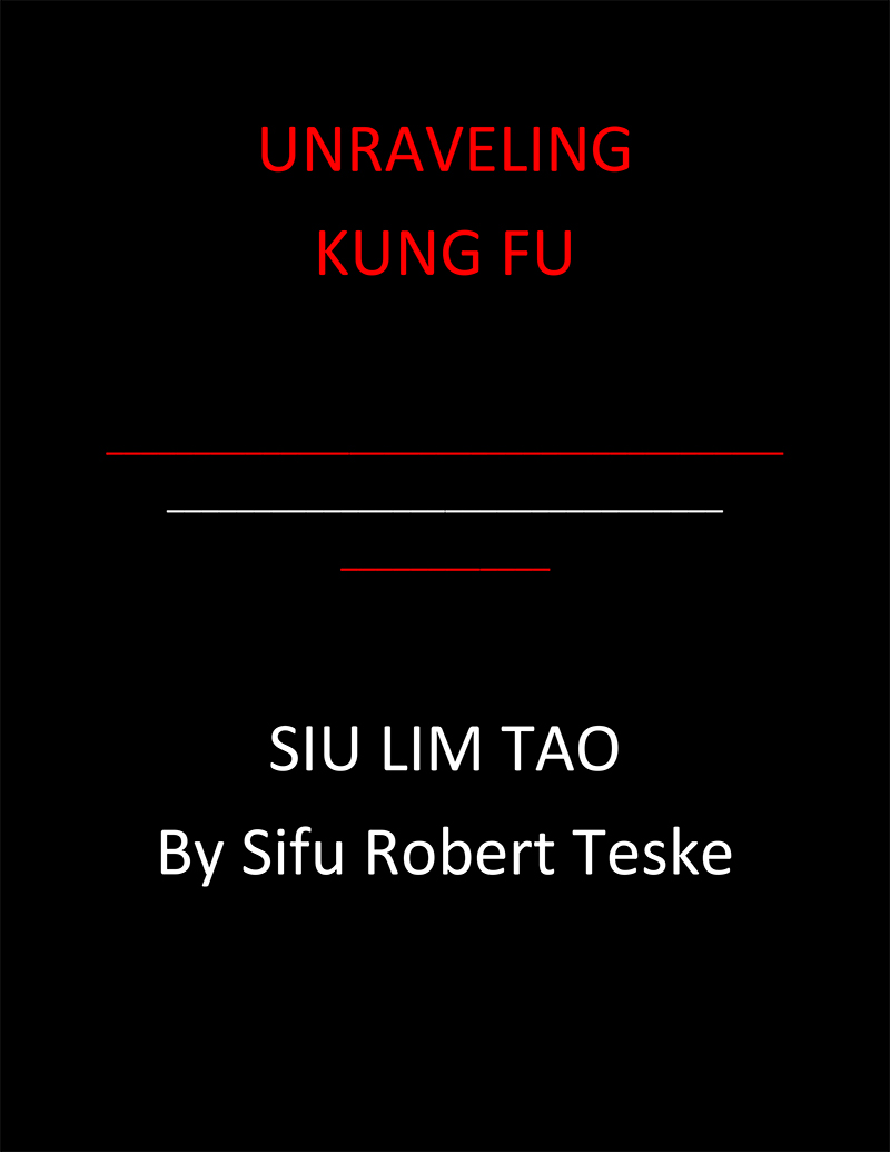 Unraveling Wing Chun - Siu Lim Tao