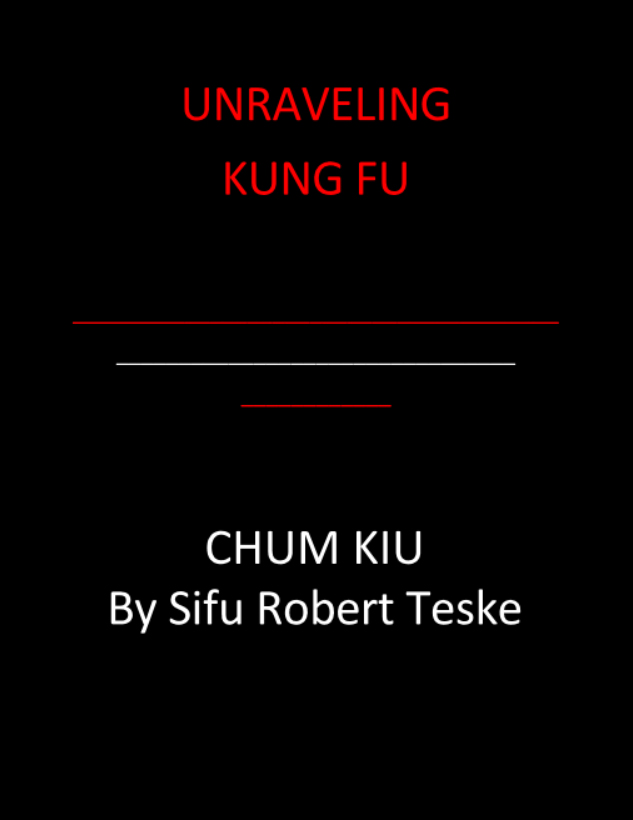 Unraveling Wing Chun - Chum Kiu